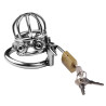 CockLock Cage de chasteté en métal Spike Cock 6 x 3.2cm